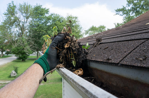 Rain Gutter Cleaning