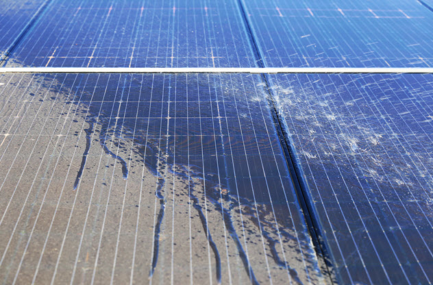 Solar Panel Cleaning